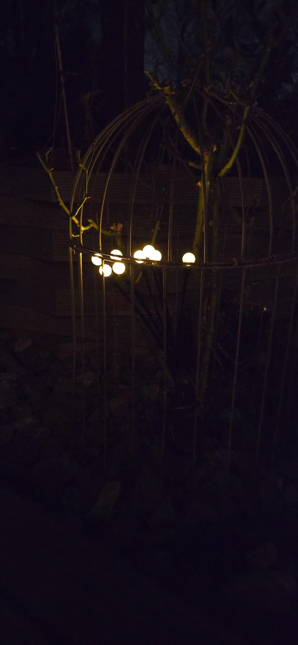 Licht warm