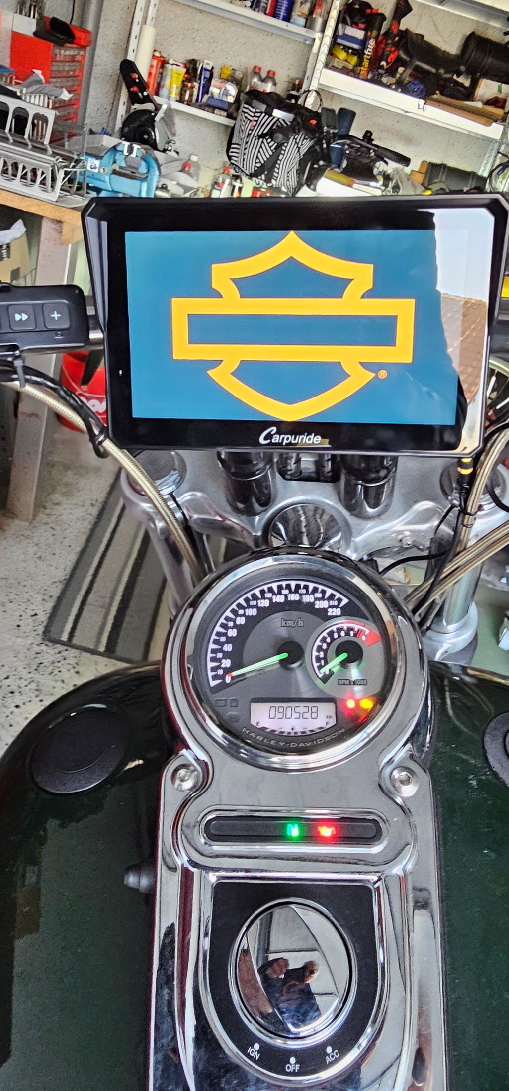 Halter für Harley